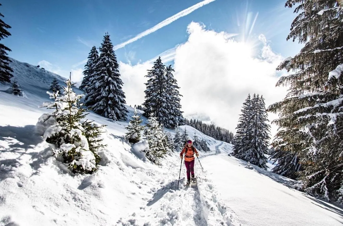 Chalet Marpoet Mrp Nature & Quiet 6 Pers Chatel